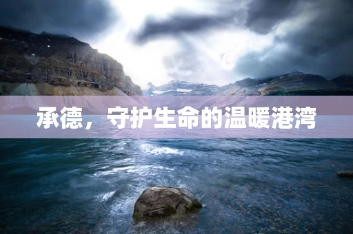 承德，守护生命的温暖港湾