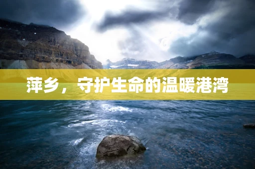 萍乡，守护生命的温暖港湾