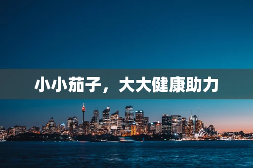 小小茄子，大大健康助力