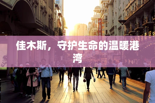 佳木斯，守护生命的温暖港湾