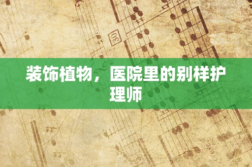 装饰植物，医院里的别样护理师