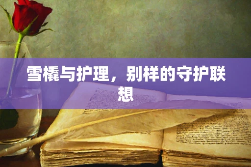 雪橇与护理，别样的守护联想