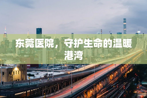 东莞医院，守护生命的温暖港湾