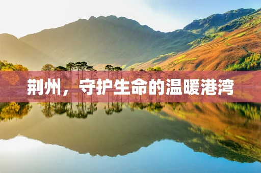 荆州，守护生命的温暖港湾