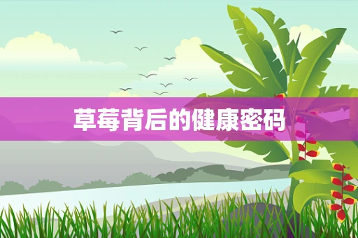 草莓背后的健康密码