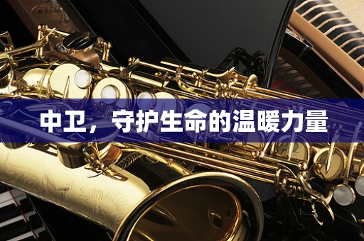 中卫，守护生命的温暖力量