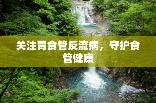 关注胃食管反流病，守护食管健康