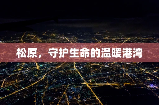 松原，守护生命的温暖港湾