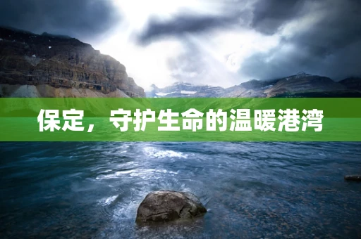 保定，守护生命的温暖港湾
