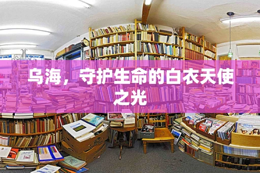 乌海，守护生命的白衣天使之光
