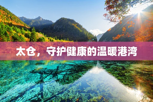 太仓，守护健康的温暖港湾
