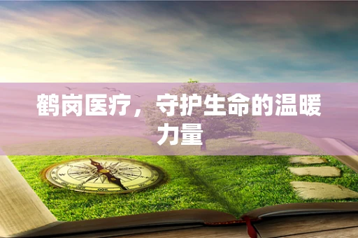 鹤岗医疗，守护生命的温暖力量