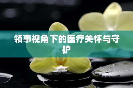 领事视角下的医疗关怀与守护