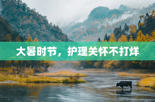 大暑时节，护理关怀不打烊