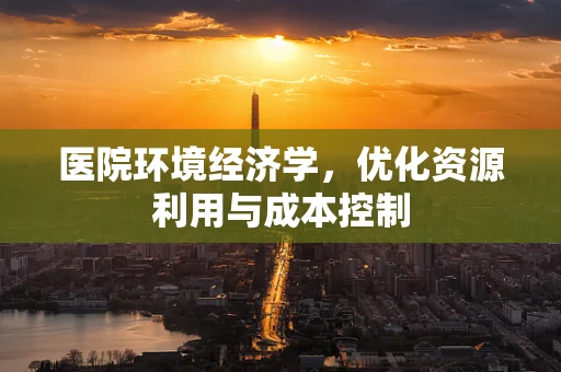 医院环境经济学，优化资源利用与成本控制