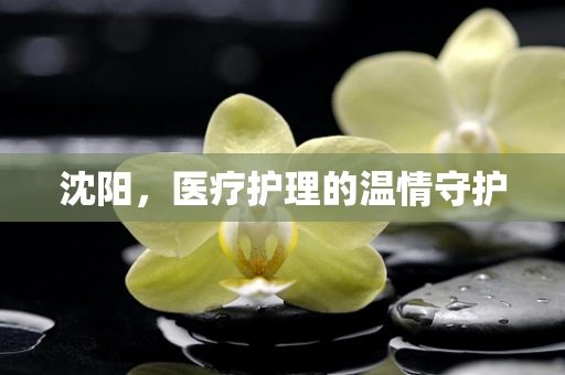 沈阳，医疗护理的温情守护