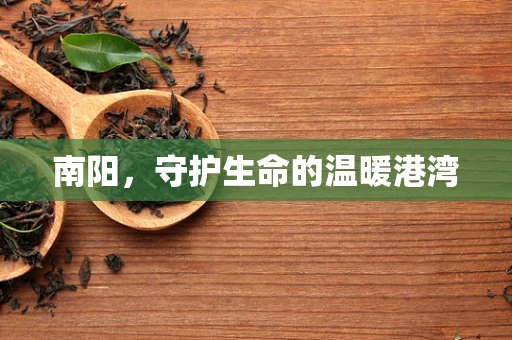 南阳，守护生命的温暖港湾
