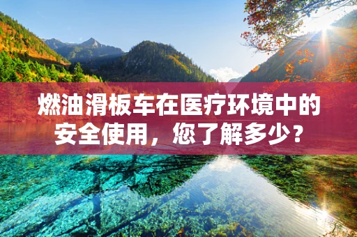 燃油滑板车在医疗环境中的安全使用，您了解多少？