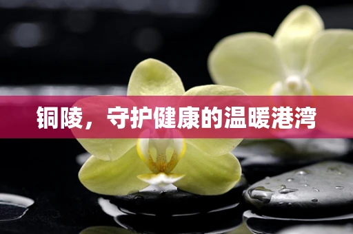 铜陵，守护健康的温暖港湾