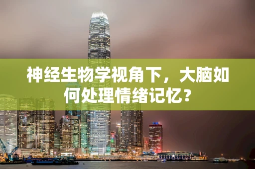 神经生物学视角下，大脑如何处理情绪记忆？