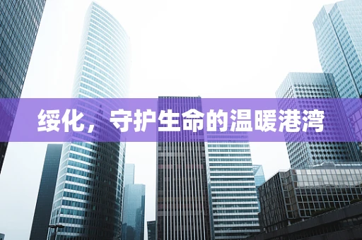 绥化，守护生命的温暖港湾