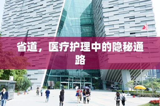 省道，医疗护理中的隐秘通路