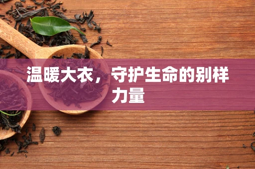 温暖大衣，守护生命的别样力量
