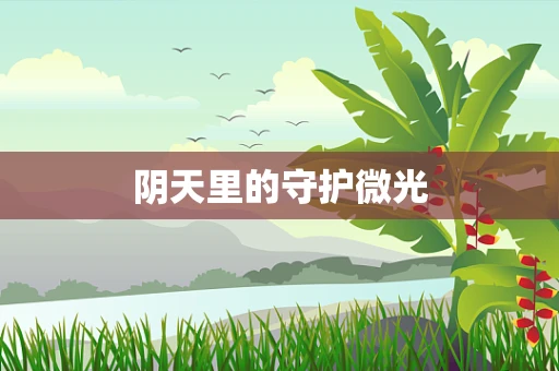 阴天里的守护微光
