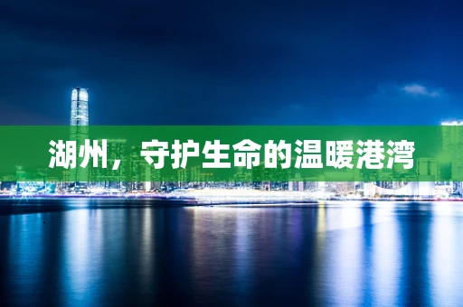 湖州，守护生命的温暖港湾