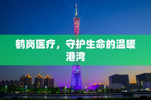 鹤岗医疗，守护生命的温暖港湾