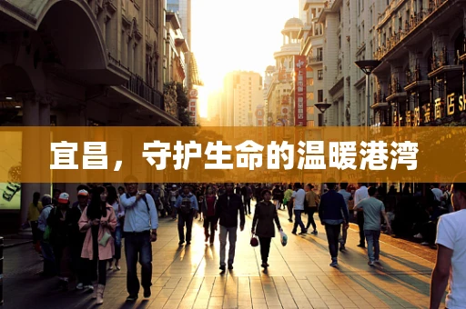 宜昌，守护生命的温暖港湾