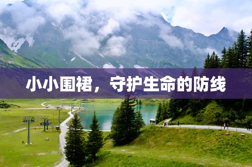 小小围裙，守护生命的防线