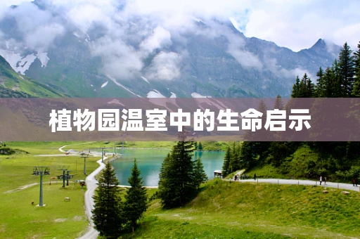 植物园温室中的生命启示