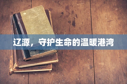 辽源，守护生命的温暖港湾