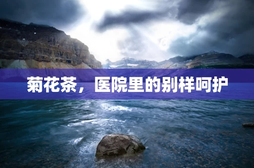 菊花茶，医院里的别样呵护