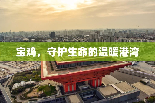 宝鸡，守护生命的温暖港湾