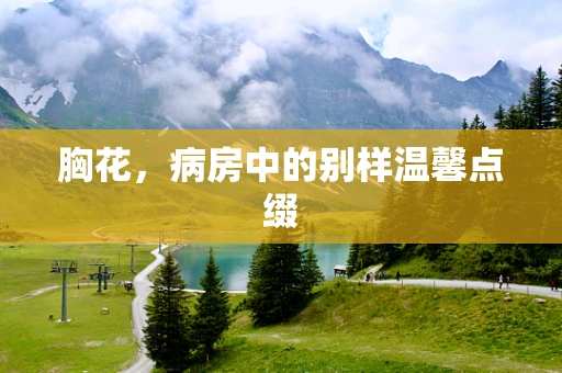 胸花，病房中的别样温馨点缀