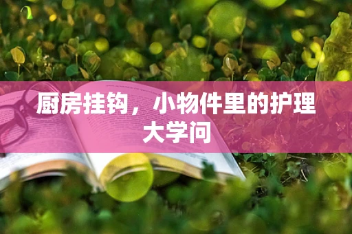 厨房挂钩，小物件里的护理大学问