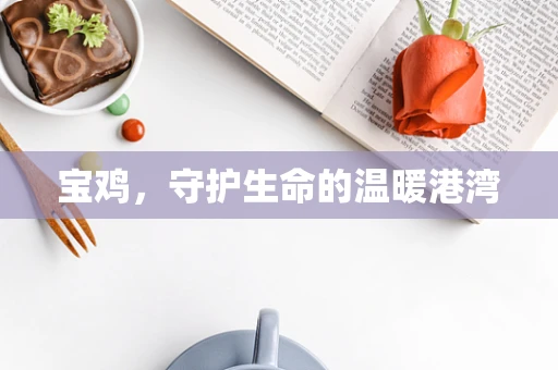 宝鸡，守护生命的温暖港湾