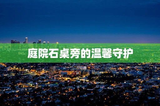 庭院石桌旁的温馨守护