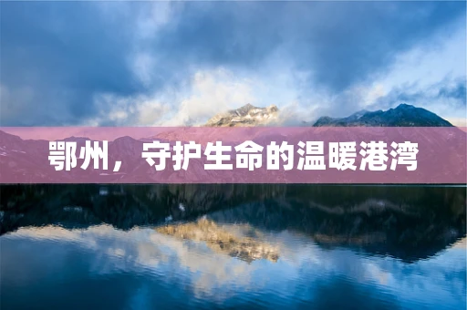 鄂州，守护生命的温暖港湾