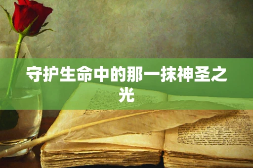 守护生命中的那一抹神圣之光