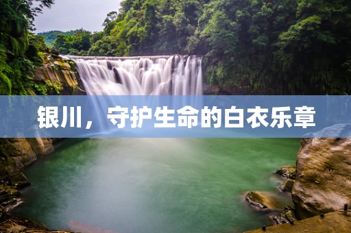 银川，守护生命的白衣乐章
