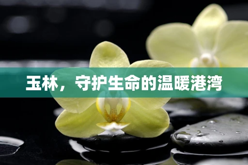 玉林，守护生命的温暖港湾
