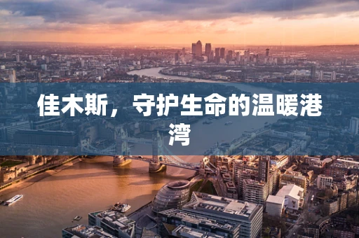 佳木斯，守护生命的温暖港湾
