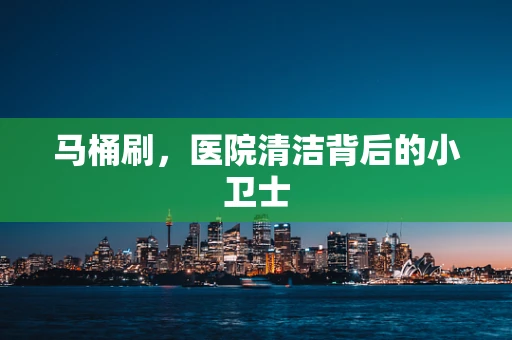 马桶刷，医院清洁背后的小卫士