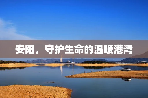 安阳，守护生命的温暖港湾