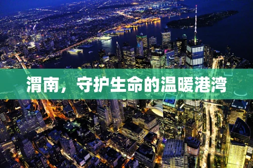 渭南，守护生命的温暖港湾