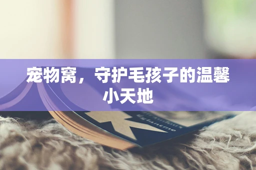 宠物窝，守护毛孩子的温馨小天地