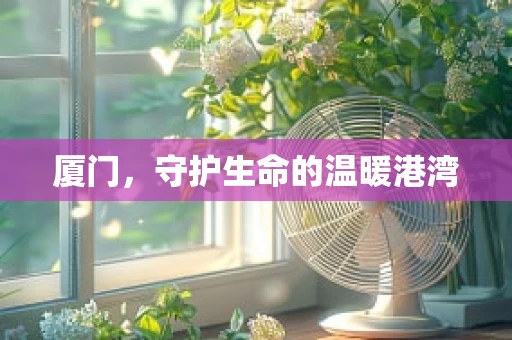 厦门，守护生命的温暖港湾